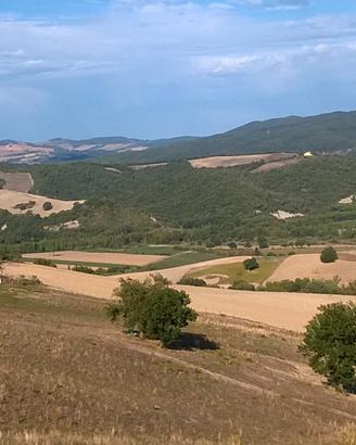 Azienda agricola con terreni stalla e fienile