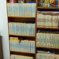Collezione tex willer