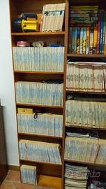 Collezione tex willer