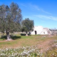 Lotti Terreni Edificabili Zona Eredità