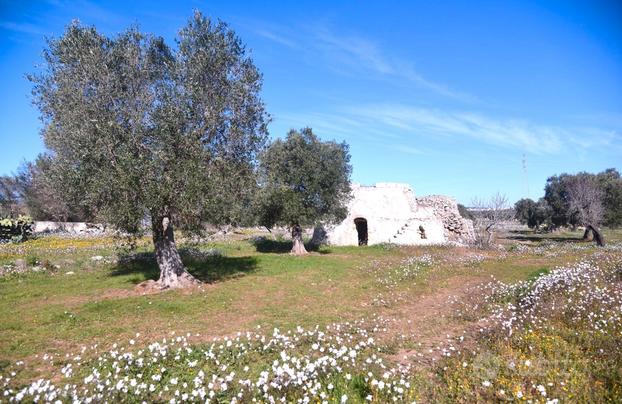 Lotti Terreni Edificabili Zona Eredità