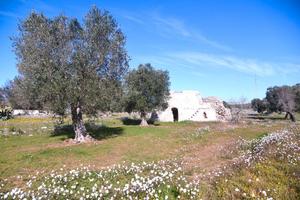 Lotti Terreni Edificabili Zona Eredità