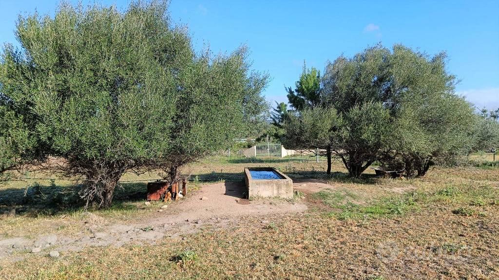 Terreno di 20000 m² a Olbia - Vista 4