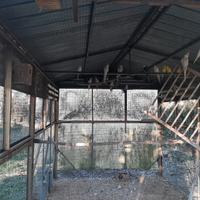 Cocorite e calopsite