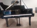 pianoforte-yamaha-c3-a-coda-con-trasporto-incluso