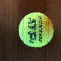 Dunlop ATP 45 Palline da tennis