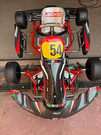 Go kart 60 parolin