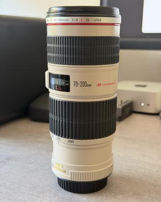 Canon EF 70-200 F/4 L IS USM – Perfetto + Staffa