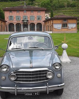 Fiat Altro 1100 103 Elite Vignale '56