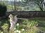 Immagine 19