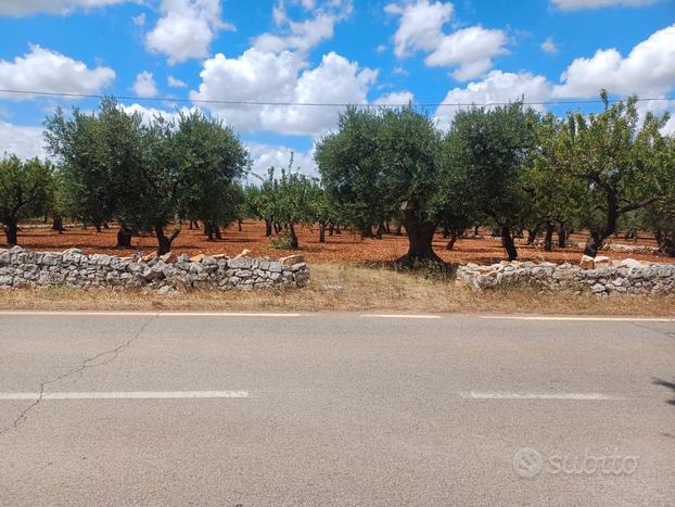 Terreno Agricolo