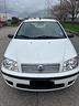 fiat-punto-punto-gpl
