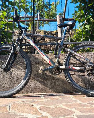 MTB Lee Cougan Predator