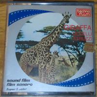 2 documentari sugli animali su pellicole Super8mm