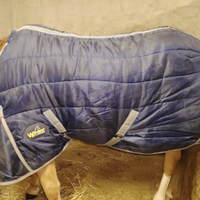Coperta box cavallo