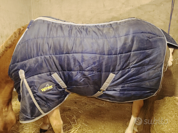 Coperta box cavallo