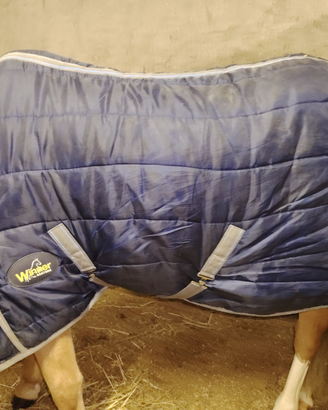 Coperta box cavallo