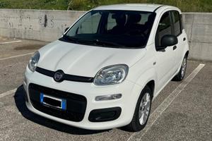 Fiat Panda 1.2 Easy 69cv