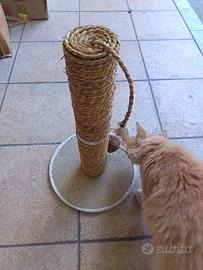 tiragraffi per gatto