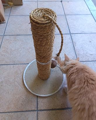tiragraffi per gatto