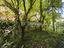 Immagine 26