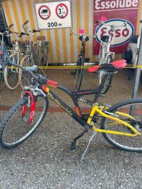 Bici mountain bike