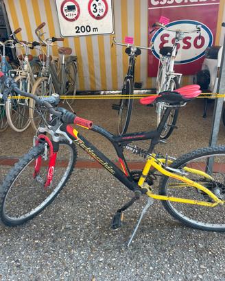 Bici mountain bike