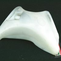 Vaschetta vaso espansione acqua Ducati 748 916 996