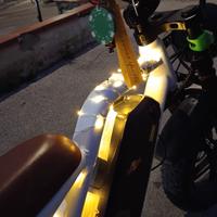 bici elettrica r6 1000w 48v