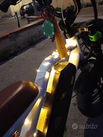 bici elettrica r6 1000w 48v