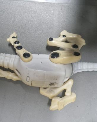 2243NN-Action Figure Chomping Roborapto bambini