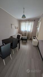 Colombo Parco Scott bilocale arredato