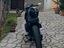 Immagine 6