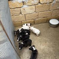 Per maggiori informazioni in privato