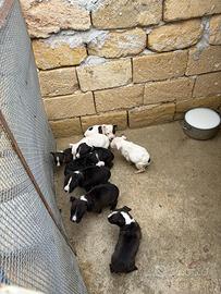 Per maggiori informazioni in privato