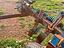 Immagine 12