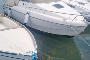 Sessa Oyster 20 