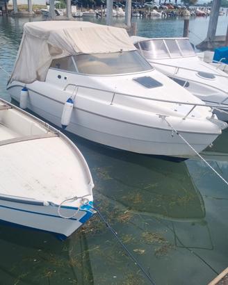 Sessa Oyster 20 