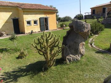 Grande villa Costa Smeralda