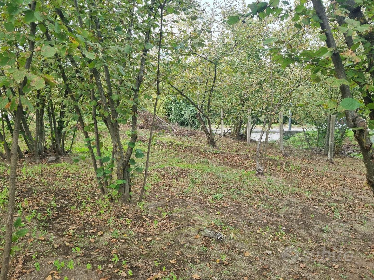 Terreno Via Torone di mq 3600 - Vista 5