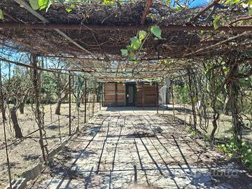 Terreno agricolo 500mq