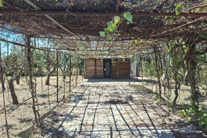 Terreno agricolo 500mq