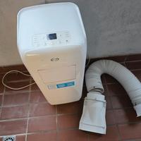 pinguino condizionatore argo