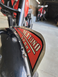 GILERA Nettuno Sport 250