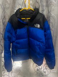 Giubbotto uomo the north face