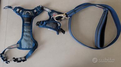 Pettorina ad H per cani con guinzaglio coordinato 