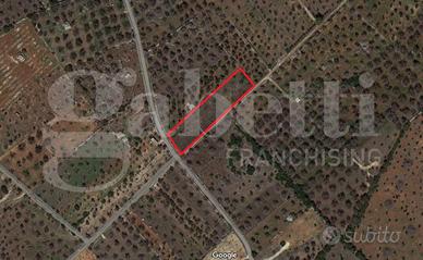 Terreno Agricolo Ugento [Cod. rif 3081467VRG]