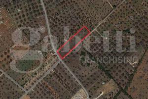 Terreno Agricolo Ugento [Cod. rif 3081467VRG]