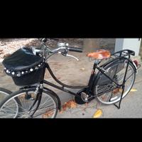 Bicicletta da passeggio