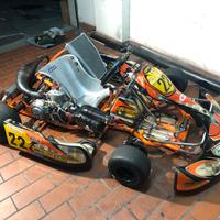 Kart CRG road rebel completo SENZA MOTORE